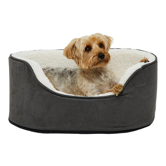Pet Feeding & Accessories
