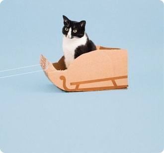 Cat Supplies