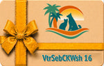 VtrSebCKWsh 16