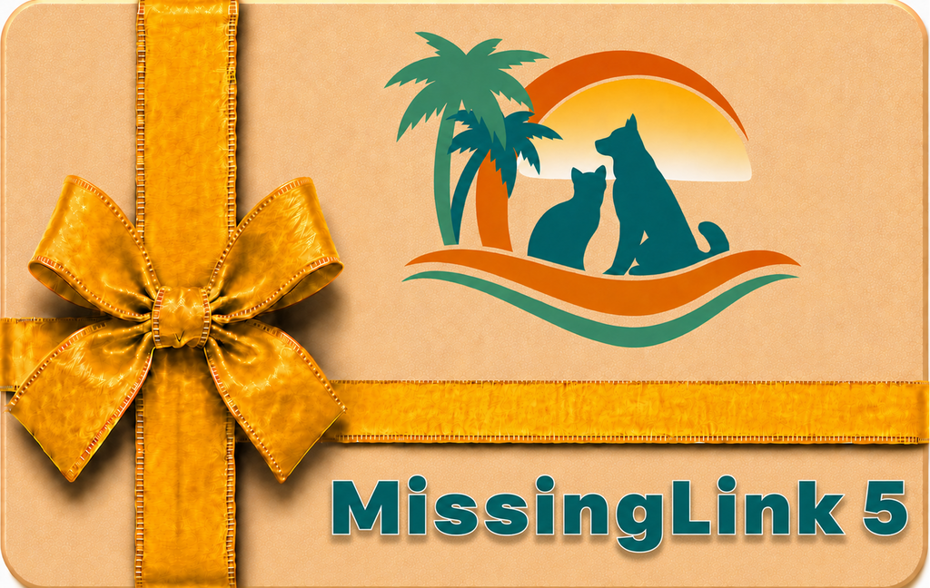 MissingLink 5