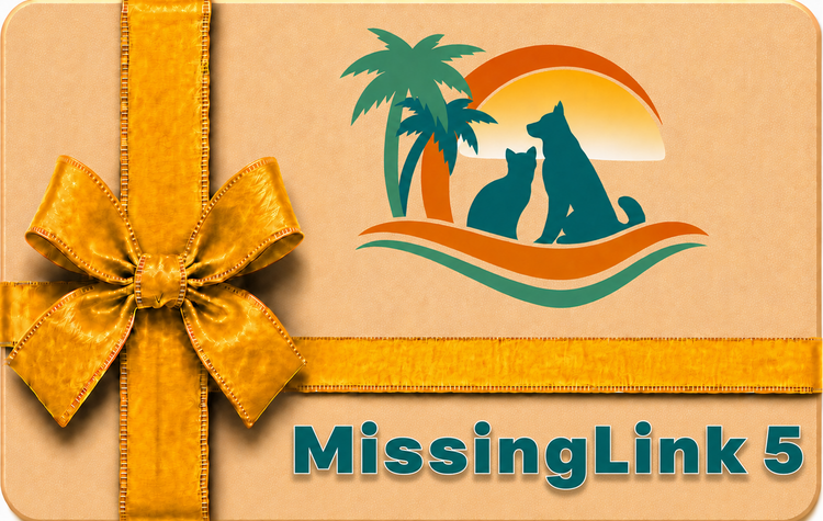 MissingLink 5