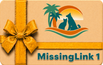 MissingLink 1