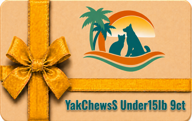 YkChwsS Under15 9