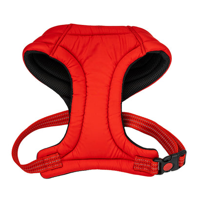 Pet Feeding & Accessories