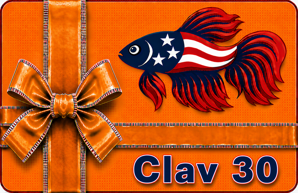 Aqua-Clav-30-t