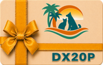 DX20P