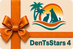 DenTsStars 4