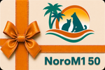 NoroM1 50
