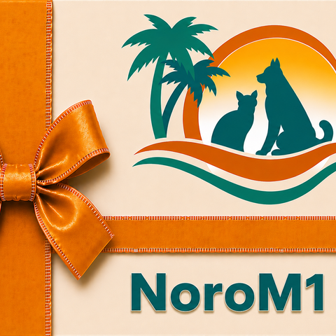 NoroM1 50