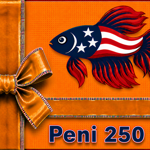 Aqua-Peni-250-100-t