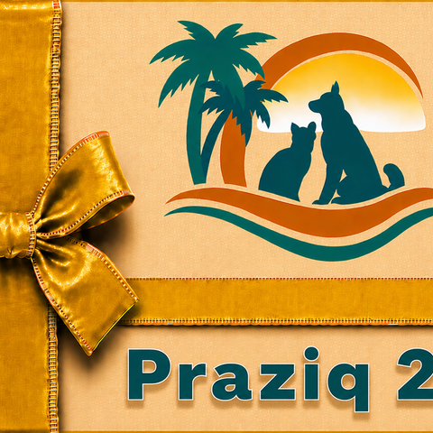 Praziq 250